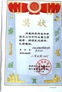 小型坑道“四化”1978年获四川省重大贡献奖.jpg